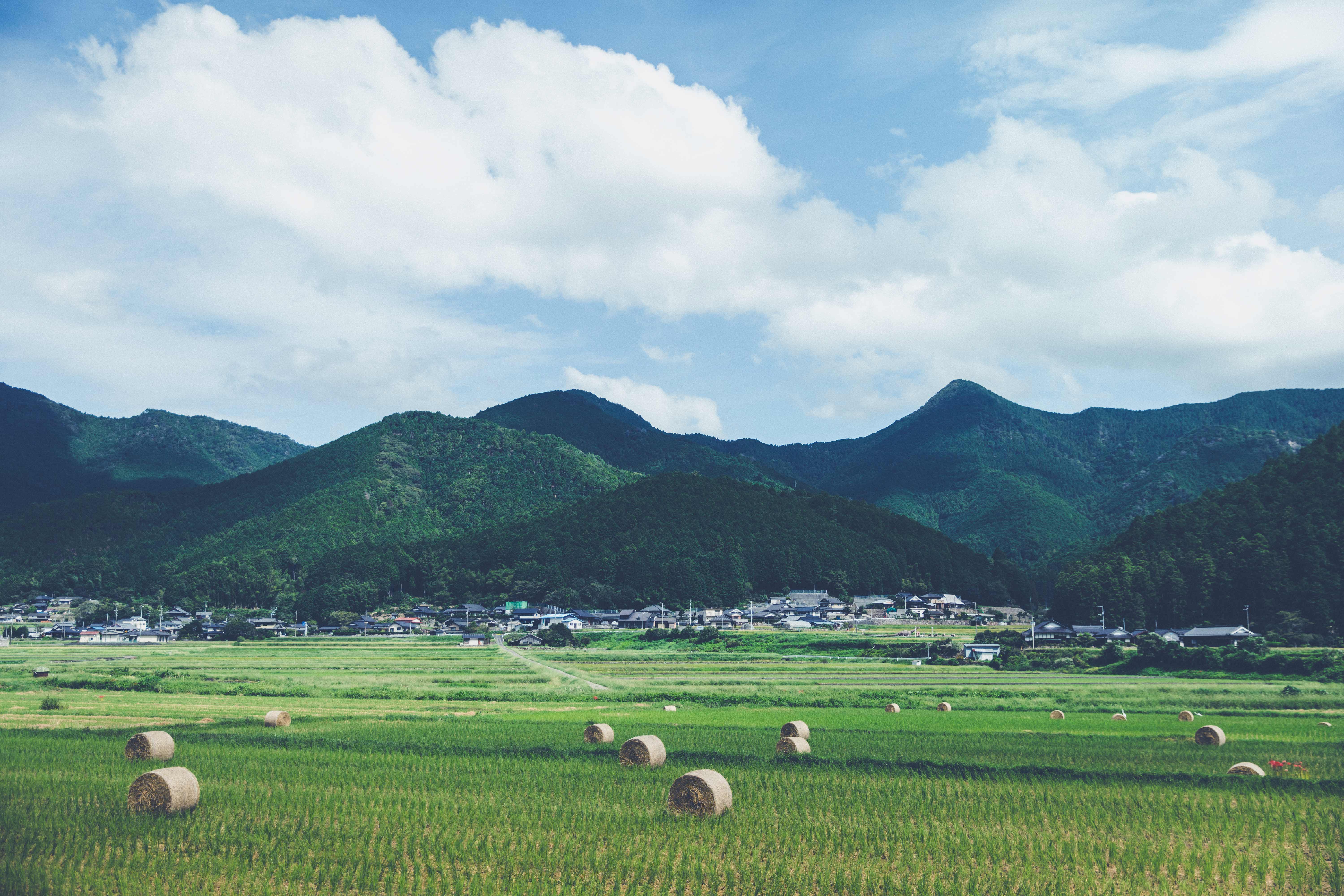 画像：Landscape